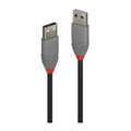 Lindy 0.2m USB 2.0 A to A Cbl