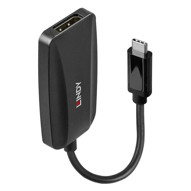 Lindy USB to DP Converter
